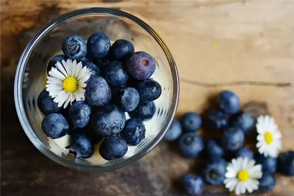 Dream of Blueberries Meaning - NuvoraDream-DreamDecode