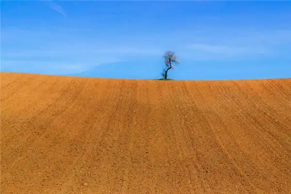 Dream Interpretation of Plowing Land in Your Sleep-DreamDecode