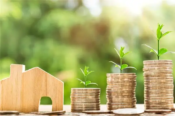 Dream Interpretation of Seeing Someone Counting Money - NuvoraDream-DreamDecode