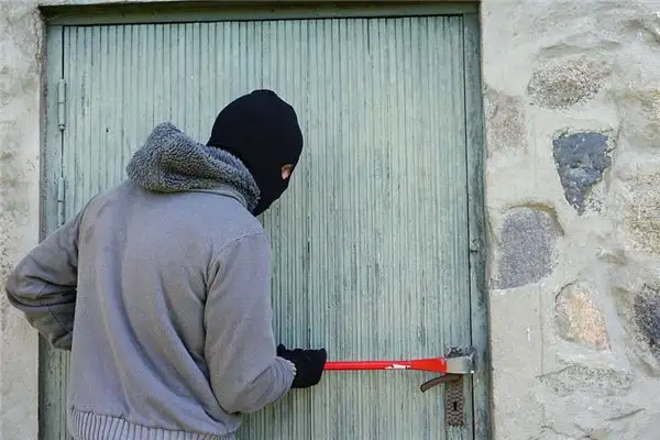 Dream of a Burglar Breaking In Meaning and Interpretation - NuvoraDream-DreamDecode