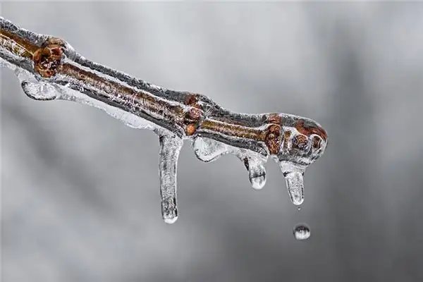 Dream Interpretation Melting Symbolism Explained-DreamDecode