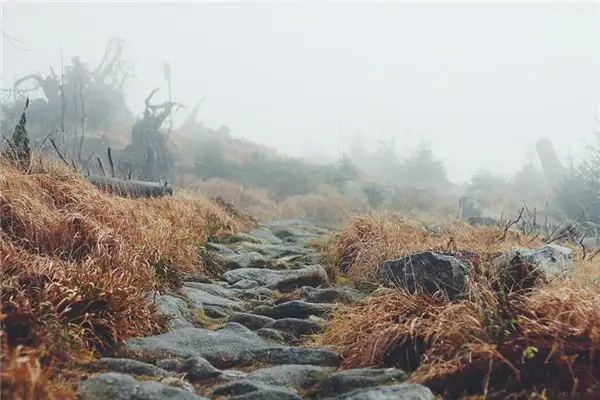 Dream Interpretation of Walking on Mountain Paths - NuvoraDream-DreamDecode