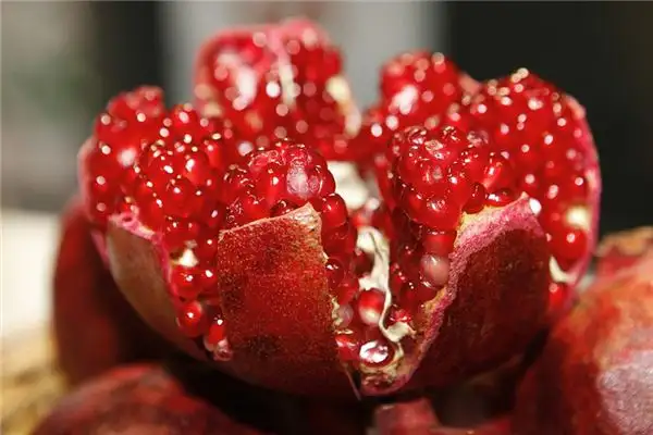 Dream of Pomegranate Meaning and Interpretation - NuvoraDream-DreamDecode